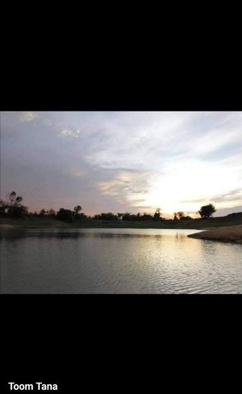 ที่ดินพร้อมสิ่งปลูกสร้าง11ไร่ครึ่งติดถนนกว้างน้ำไม่เคยท่วมติดแหล่งน้ำกว้างใกล้วัด.รร.ธกส. 7-11 ตลาดนัดสนใจ0835052583 รูปที่ 3