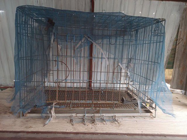 กรง คอกและประตู ขายกรวสัตว์เลี้ยงมือสอง ขนาดใหญ่ ราคาถูก