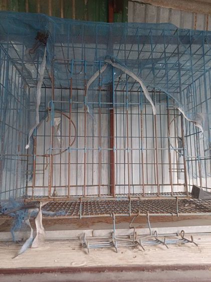 ขายกรวสัตว์เลี้ยงมือสอง ขนาดใหญ่ ราคาถูก รูปที่ 3