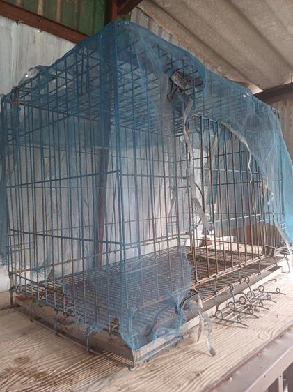 ขายกรวสัตว์เลี้ยงมือสอง ขนาดใหญ่ ราคาถูก รูปที่ 2