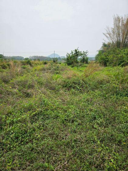 ที่ดินด่านช้าง วิวเขา 360 องศา ถมแล้ว3ปี พร้อมปลูกบ้าน