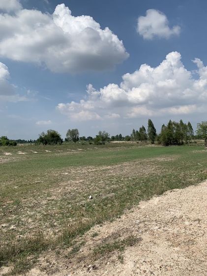 ขายที่ดินราคาแบ่งปันไร่ละ189,999ยกแปลง 1028ตารางวาโฉนด3ใบ รูปที่ 4