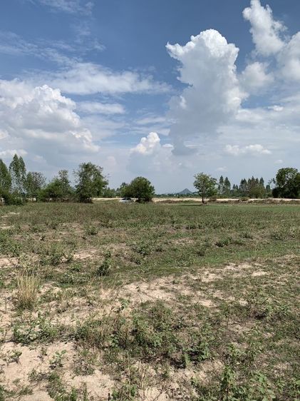 ขายที่ดินราคาแบ่งปันไร่ละ189,999ยกแปลง 1028ตารางวาโฉนด3ใบ รูปที่ 3