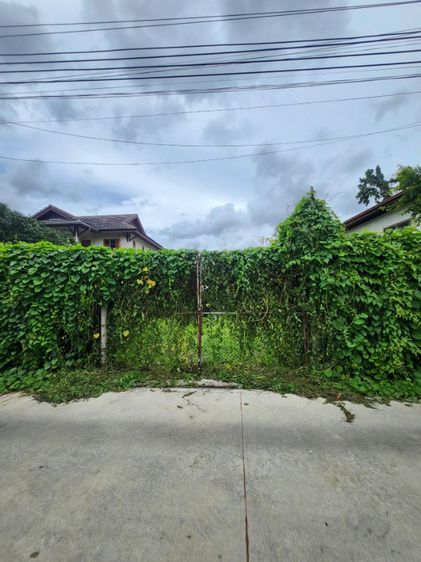 ขายที่ดิน อ่อนนุช 46  รูปที่ 4