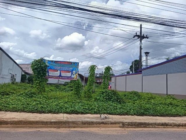 ขายที่ดินทำเลทอง ติดถนนใหญ่ เมืองสตูล รูปที่ 2
