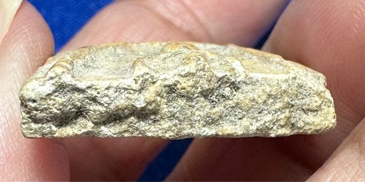 🙏พระสมเด็จเนื้อเก่า🙏ชิ้นส่วนพระสมเด็จบางขุนพรหม🙏พระกำแพงซุ้มกอขนมเปี๊ยะ องค์ละ1000 รูปที่ 11