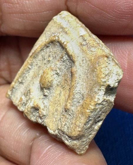 🙏พระสมเด็จเนื้อเก่า🙏ชิ้นส่วนพระสมเด็จบางขุนพรหม🙏พระกำแพงซุ้มกอขนมเปี๊ยะ องค์ละ1000 รูปที่ 9