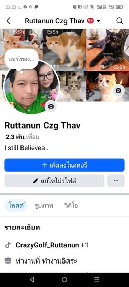 Exotic Cats รูปที่ 18