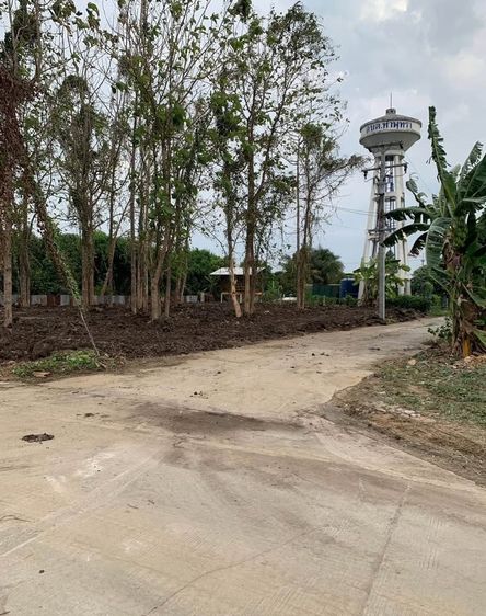 ขายที่ดินแปลงหัวมุม ติดแม่น้ำปิงท่าพุทรา คลองขลุง