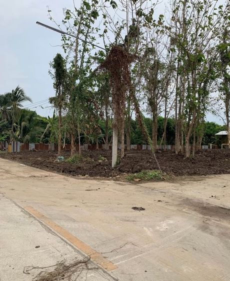 ขายที่ดินแปลงหัวมุม ติดแม่น้ำปิงท่าพุทรา คลองขลุง รูปที่ 2
