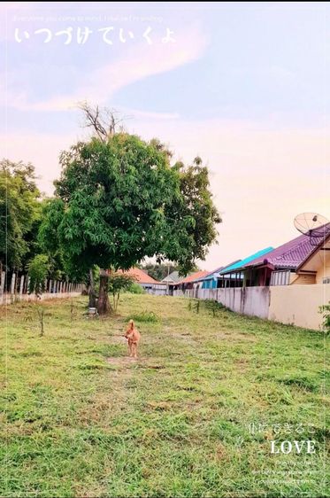 ใช่ 🏕ที่ดินสิงห์บุรีเส้นทางเข้าเรือนจำจังหวัด รูปที่ 3