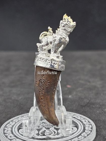 สัมฤทธิ์สิงห์มหาโชค มหาเศรษฐี ผลิตจากโลหะผสม ชุบกะไหล่เงิน รูปที่ 3