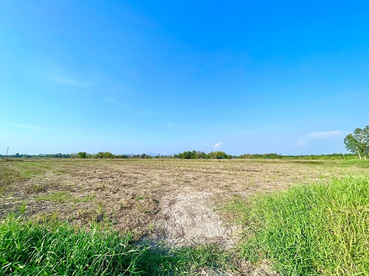 ให้เช่า ขายที่นาใกล้ตลาด 3 งาน 71 ตารางวา ต.ท่าช้าง อ.เมือง นครนายก ติดคลอง ติดถนน