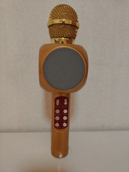 ไมโครโฟน รูปที่ 2