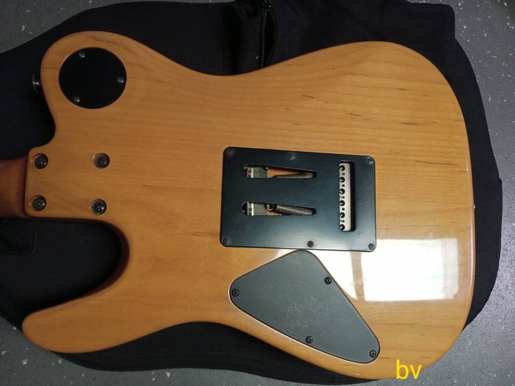 Bacchus TE-2 H Custom รูปที่ 4