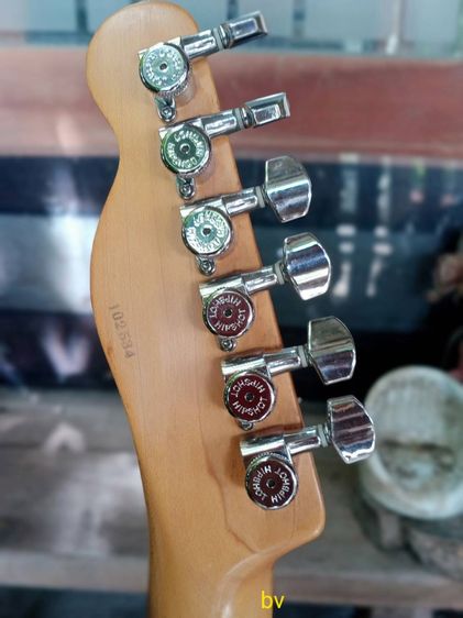 Bacchus TE-2 H Custom รูปที่ 8