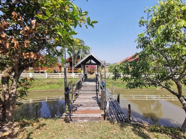 ที่ดินพร้อมสิ่งปลูกสร้าง รูปที่ 3