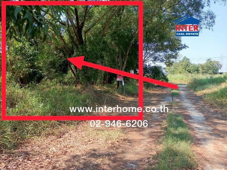 ไม่ใช่ ที่ดินเปล่า 1 ไร่ 232.2 ตร.ว. ที่ดินเปล่า ใกล้โรงเรียนอู่ตะเภา ถนนสุวินทวงศ์ ถนนร่มเกล้า เขตหนองจอก กรุงเทพมหานคร รูปที่ 2