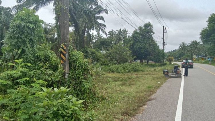 ขายที่ดินเกาะลันตา วิวภูเขา ใกล้โครงการสะพานเชื่อมเกาะลันตา รูปที่ 2