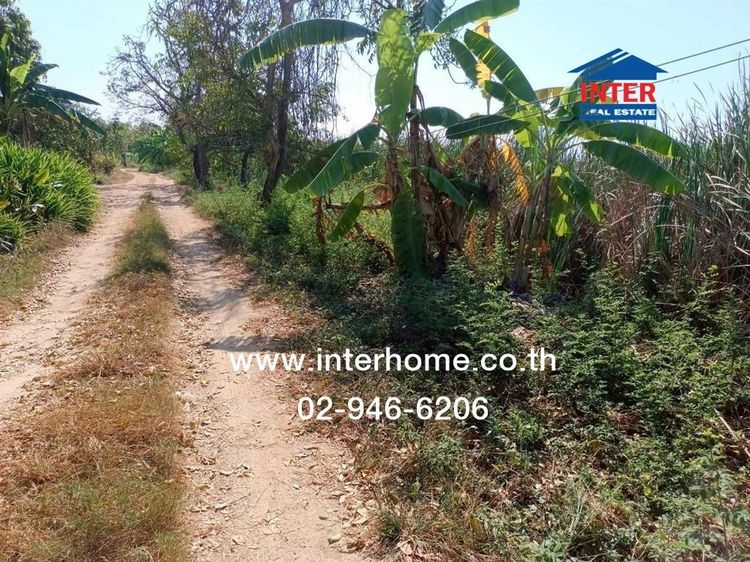 ไม่ใช่ ที่ดินเปล่า 120 ตร.ว. ที่ดินเปล่า ซอยฉลองกรุง54 ถนนสุวินทวงศ์ เขตลาดกระบัง กรุงเทพมหานคร