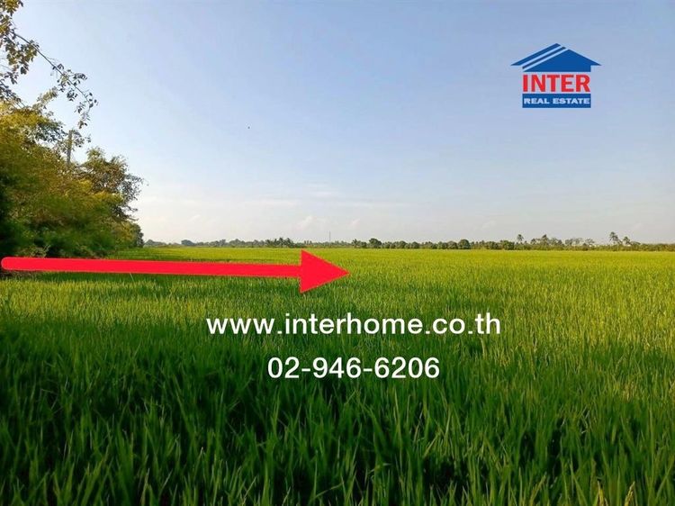 ที่ดินเปล่า 86 ตร.ว. ที่ดินเปล่า ซอยวัดวชิรธรรมาวาส ถนนสุวินทวงศ์ ถนนขุมทอง-ลำต้อยติ่ง เขตลาดกระบัง กรุงเทพมหานคร