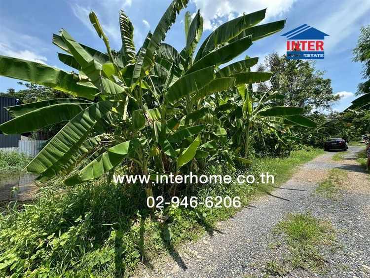 ไม่ใช่ ที่ดินเปล่า 84 ตร.ว. ที่ดินเปล่า ใกล้บิ๊กซีฟู้ดเพลสสุขาภิบาล5 ถนนสุขาภิบาล5 เขตสายไหม กรุงเทพมหานคร รูปที่ 2