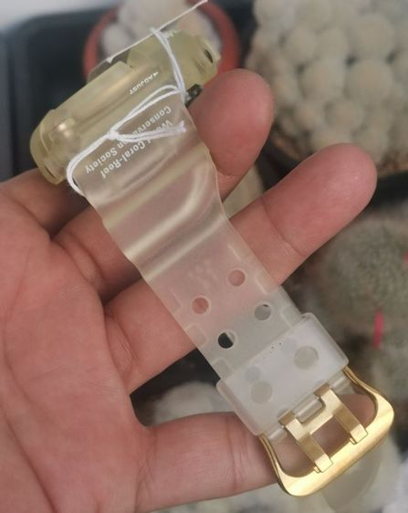 นาฬิกาวินเทจ Casio G-Shock DW-8201WC Frogman Titanium กล่องใบครบ ราคาดีที่สุดแบ่งปันครับ รูปที่ 13