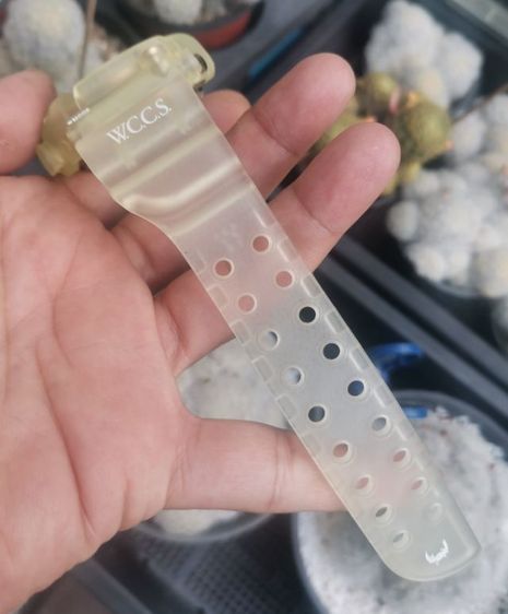 นาฬิกาวินเทจ Casio G-Shock DW-8201WC Frogman Titanium กล่องใบครบ ราคาดีที่สุดแบ่งปันครับ รูปที่ 14