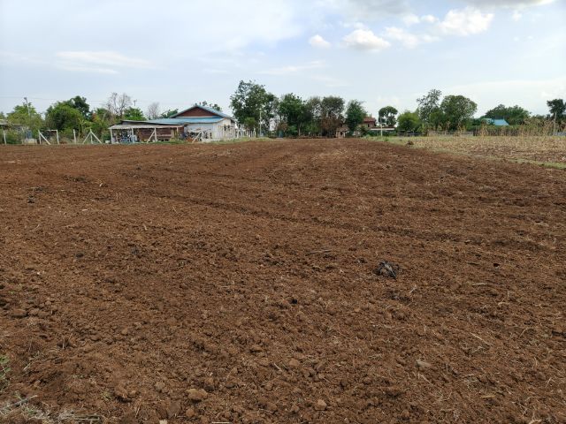 แบ่งขายที่ดินประมาน 2 ไร่ 1 งาน ราคา 828,000 บาท  รูปที่ 4