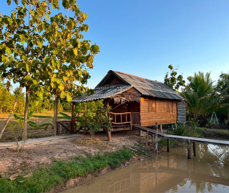 ขายกิจการโฮมสเตย์ สวนอาหาร คาเฟ่ สวนส้มและไร่อ้อย  รวมอยู่ด้วยกัน รูปที่ 3