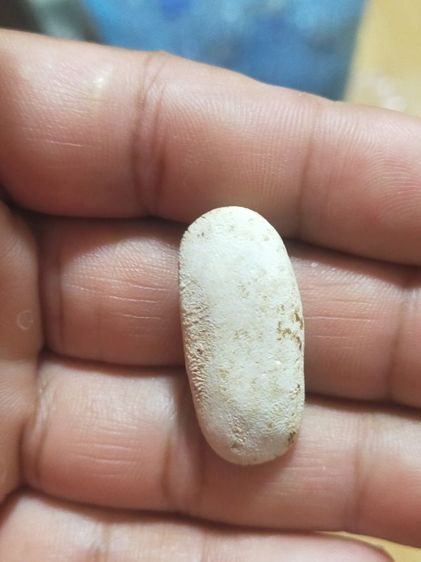 พระเสมาวันทาวัดพลับ รูปที่ 2