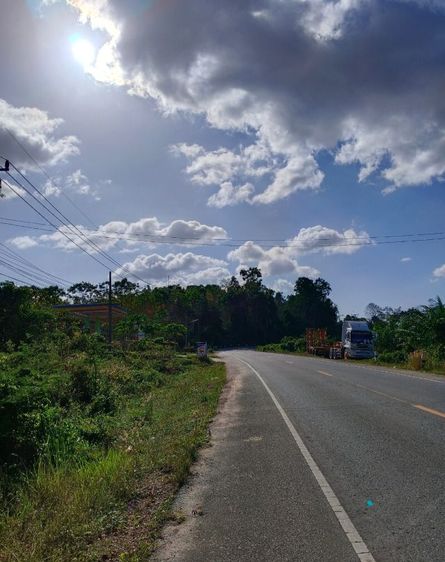 ที่ดินติดถนนใหญ่ ถนนกันตัง-วังวน อ.กันตัง จ.ตรัง แบ่งขาย เนื้อที่ 25 ตรว. มี 4 ห้อง ใกล้ควรตำหนักจันทร์  การประปา ปั๊มน้ำมัน รูปที่ 2