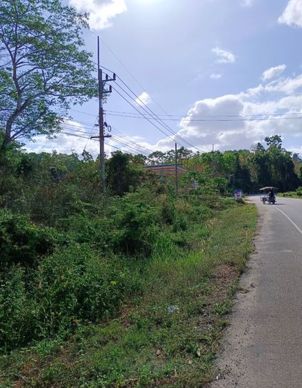 ที่ดินติดถนนใหญ่ ถนนกันตัง-วังวน อ.กันตัง จ.ตรัง แบ่งขาย เนื้อที่ 25 ตรว. มี 4 ห้อง ใกล้ควรตำหนักจันทร์  การประปา ปั๊มน้ำมัน รูปที่ 4