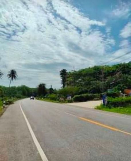 ที่ดินติดถนนใหญ่ ถนนกันตัง-วังวน อ.กันตัง จ.ตรัง แบ่งขาย เนื้อที่ 25 ตรว. มี 4 ห้อง ใกล้ควรตำหนักจันทร์  การประปา ปั๊มน้ำมัน