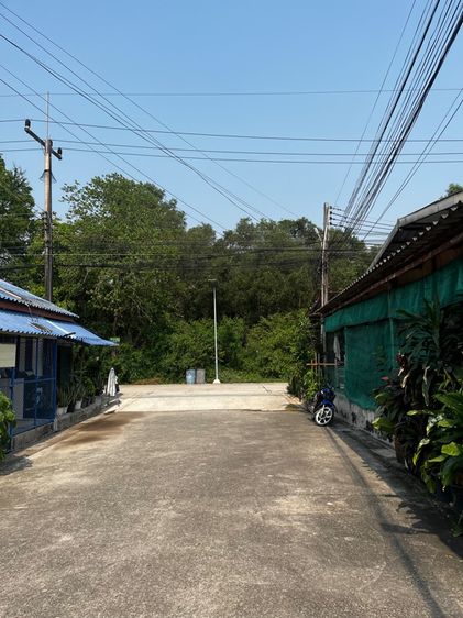 ขายสิทธิ์ที่ดินธรณีสงฆ์ วัดเนินพระ 40 ตรว รูปที่ 2