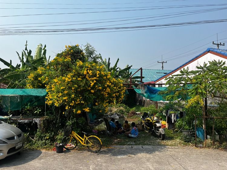 ขายสิทธิ์ที่ดินธรณีสงฆ์ วัดเนินพระ 40 ตรว