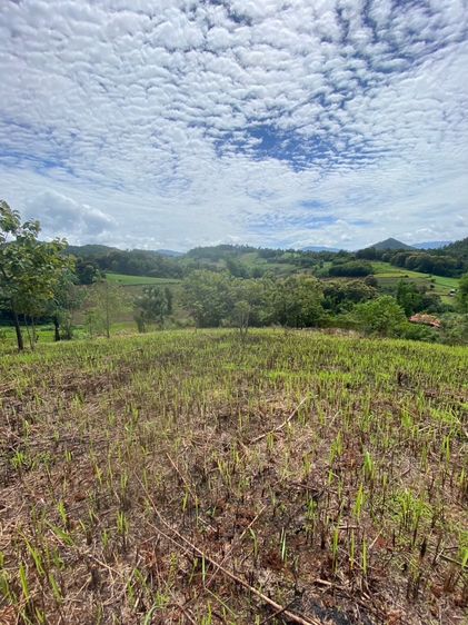 ที่ดิน สะเมิง วิวดี มีโฉนด รูปที่ 2