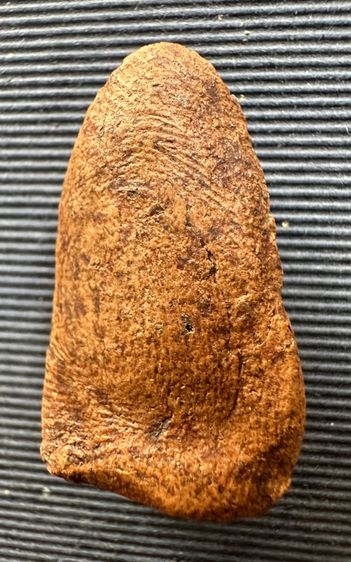 พระรอด รูปที่ 4