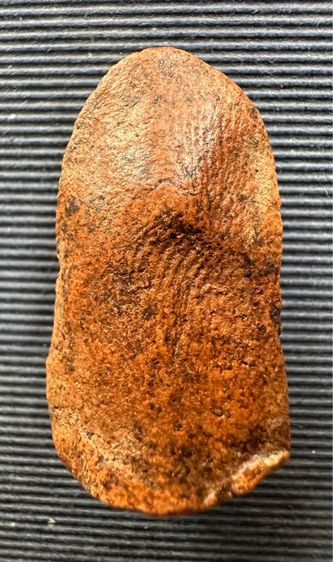 พระรอด รูปที่ 2