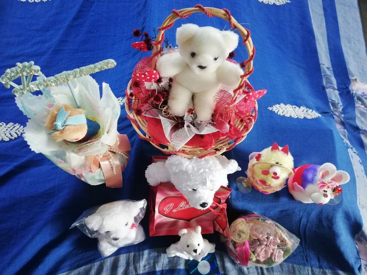 ตุ๊กตาหลากหลายแบบ จำนวน 8 รายการ ขายยกชุด สภาพดี บางชิ้นจากตปท. รูปที่ 14