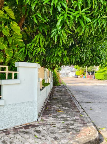 อื่นๆ มีบางส่วน 2010 บ้านเดี่ยว 2 ชั้น กลางเมืองระยอง รูปที่ 3