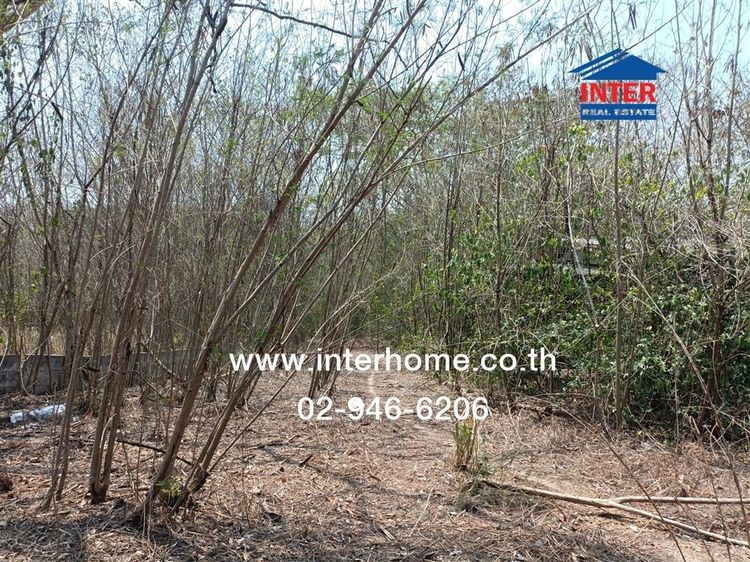 ไม่ใช่ ที่ดินเปล่า 949 ตร.ว. ที่ดินเปล่า ใกล้ราชาอาหารสัตว์ ราชาฟีดส์ ถนนมิตรภาพ มวกเหล็ก สระบุรี รูปที่ 4