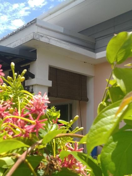 มู่ลี่ไม้ไผ่ม่านไม้ไผ่ ของใหม่ รูปที่ 7