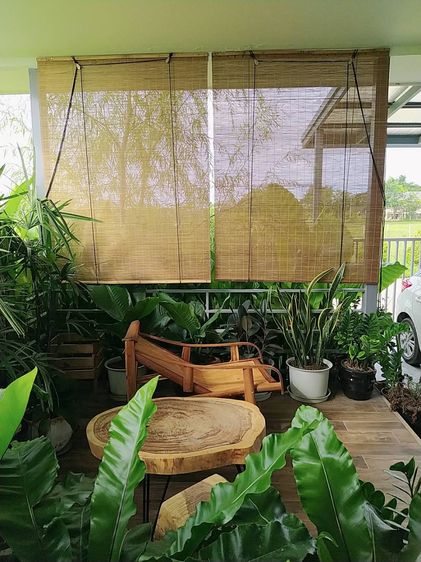 มู่ลี่ไม้ไผ่ม่านไม้ไผ่ ของใหม่ รูปที่ 3