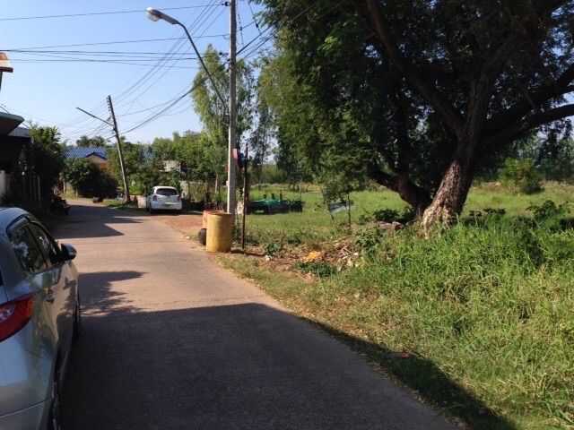 ไม่ใช่ ขายที่ดิน 5 ไร่กว่า แปลงสวย อยู่ในเมืองอุดรธานี ตร.ว. ละ 9,500 บาท ซอยบ้านเดื่อ 3 (วัดโพธิ์ชัย บ้านเดื่อ), ใกล้สวนสาธารณะหนองสิม รูปที่ 2