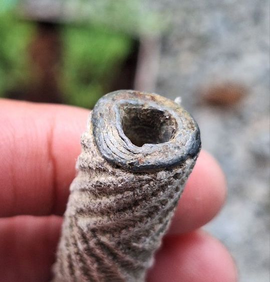 ตะกรุด หลวงปู่ศุข 