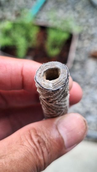 ตะกรุด หลวงปู่ศุข  รูปที่ 8