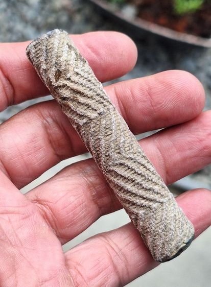 ตะกรุด หลวงปู่ศุข  รูปที่ 2