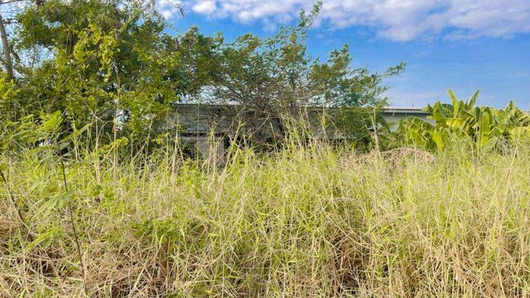 ขายที่ดิน 60 ตารางวา จังหวัด ฉะเชิงเทรา เภอ บ้านโพธิ์ ตำบล ดอนทราย ราคา 600000 บาท สนใจ ติด 0655490817