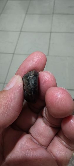 เบี้ยเก่าโบราณ รูปที่ 9